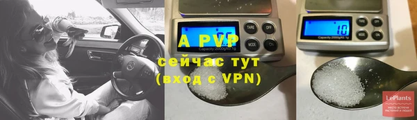 не бодяженный Михайлов