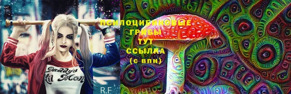 индика Наволоки