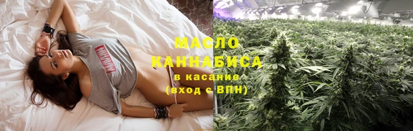 индика Наволоки
