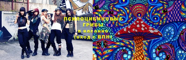спайс Надым