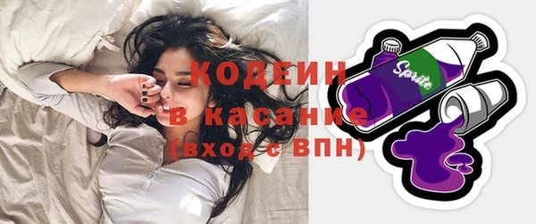 индика Наволоки