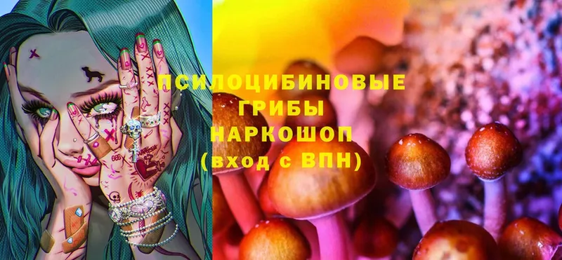 Псилоцибиновые грибы Magic Shrooms Курган