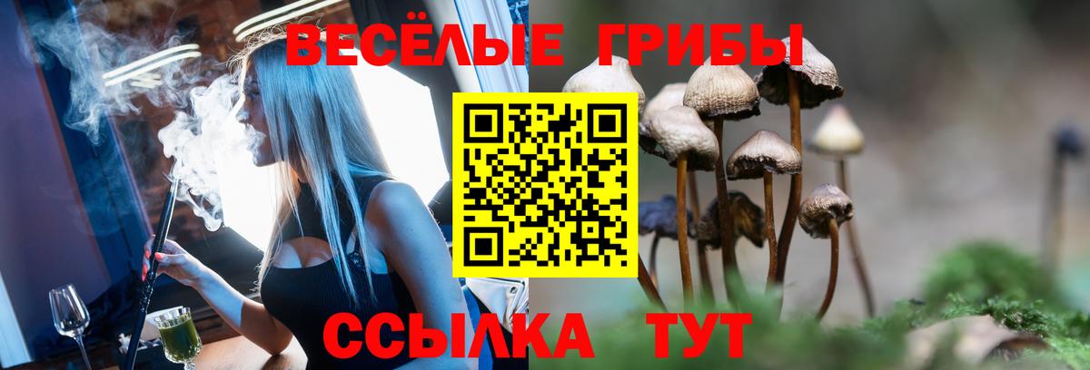 Псилоцибиновые грибы Magic Shrooms Курган