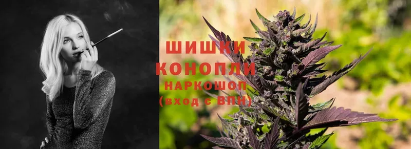 Бошки марихуана OG Kush  Курган 